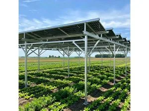 Sistema de Montaje Fotovoltaico Agrícola (Agri-PV) — detail 1